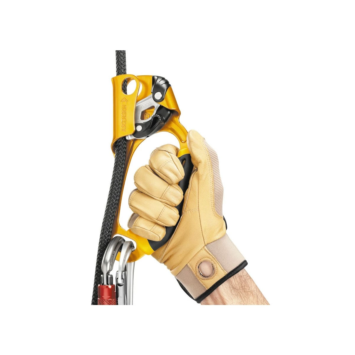 Petzl Ascension Handled Ascender - Afbeelding 3