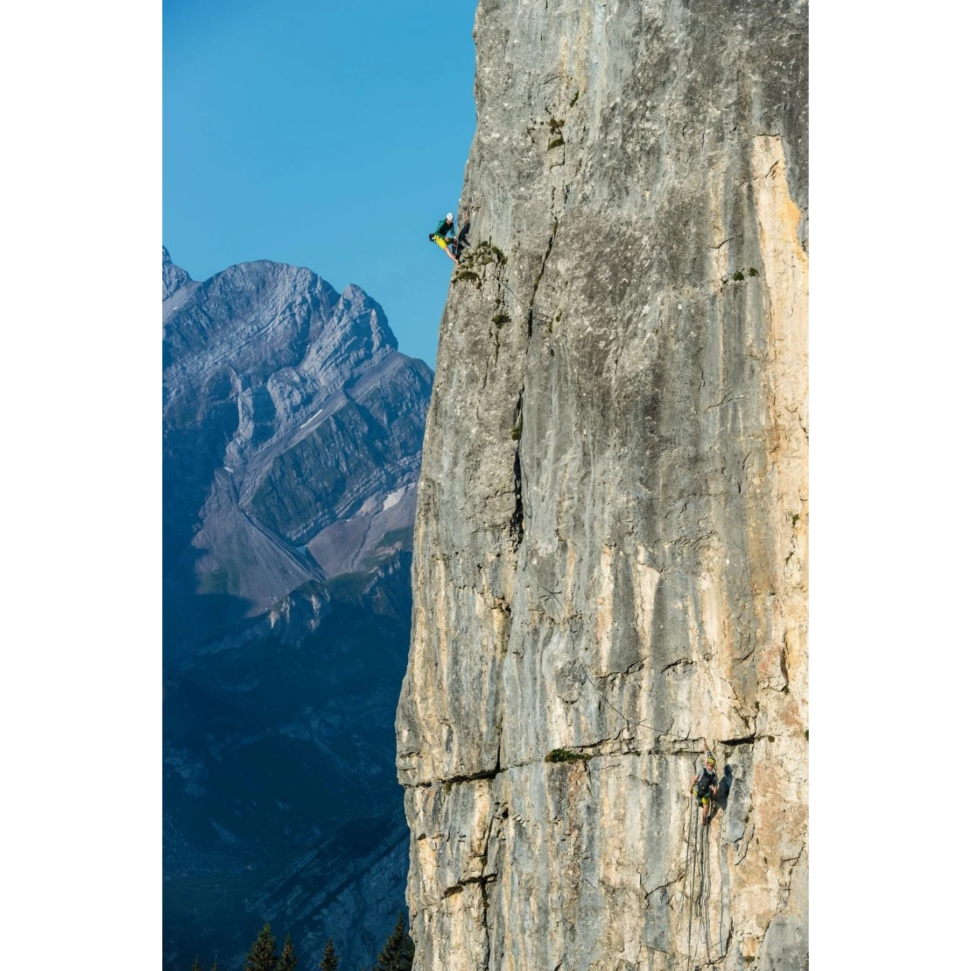 Mammut Crag Wire 10 Cm Indicator Quickdraw Set - Set Van 6 - Silver-ultramarine - Afbeelding 2