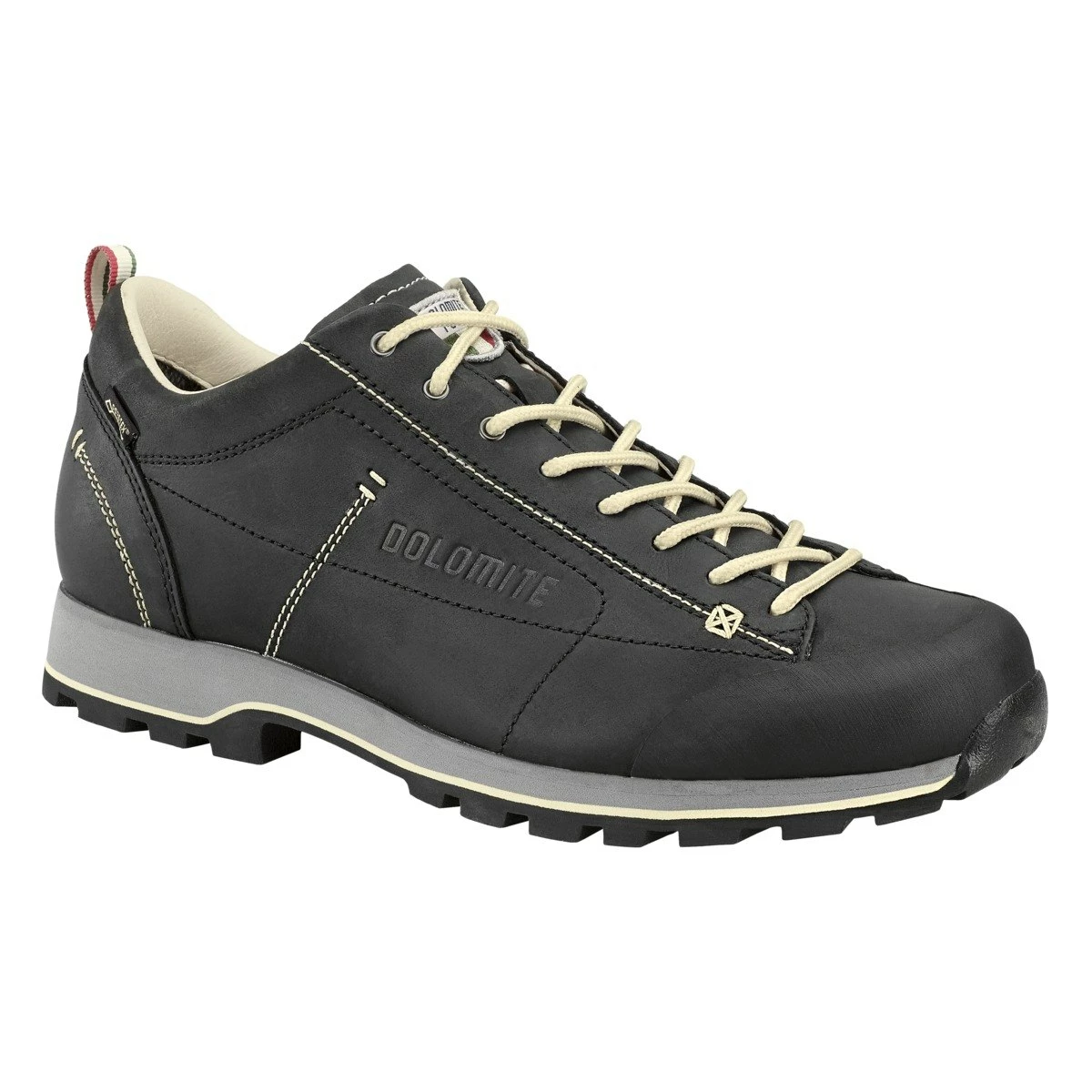 Dolomite 54 Low FG GTX Shoe - Black