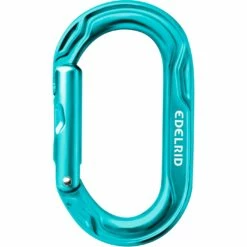 Edelrid Kiwi Carabiner - Icemint