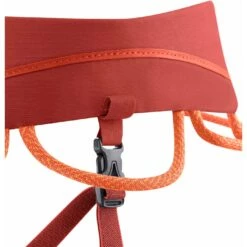 Edelrid Sirana Harness - Salsa 2 Edelrid Sirana Harness - Salsa -Edelrid Shop 743290067950 sirana klettergurt salsa 3 1025889