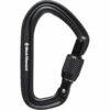 Black Diamond HotForge Screwgate Carabiner - Black