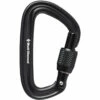 Black Diamond LiteForge Screwgate Carabiner - Black