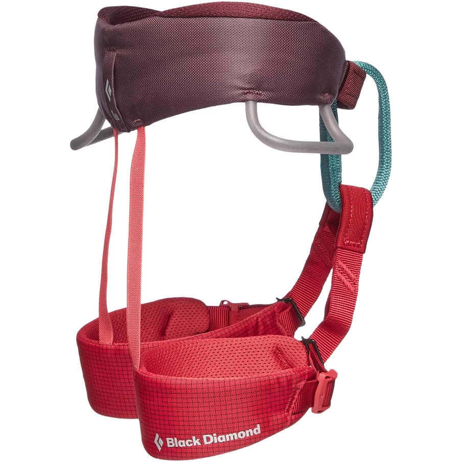 Black Diamond Momentum Kid's Harness - Wild Rose - Afbeelding 2