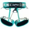 Petzl Corax Harness - Turquoise