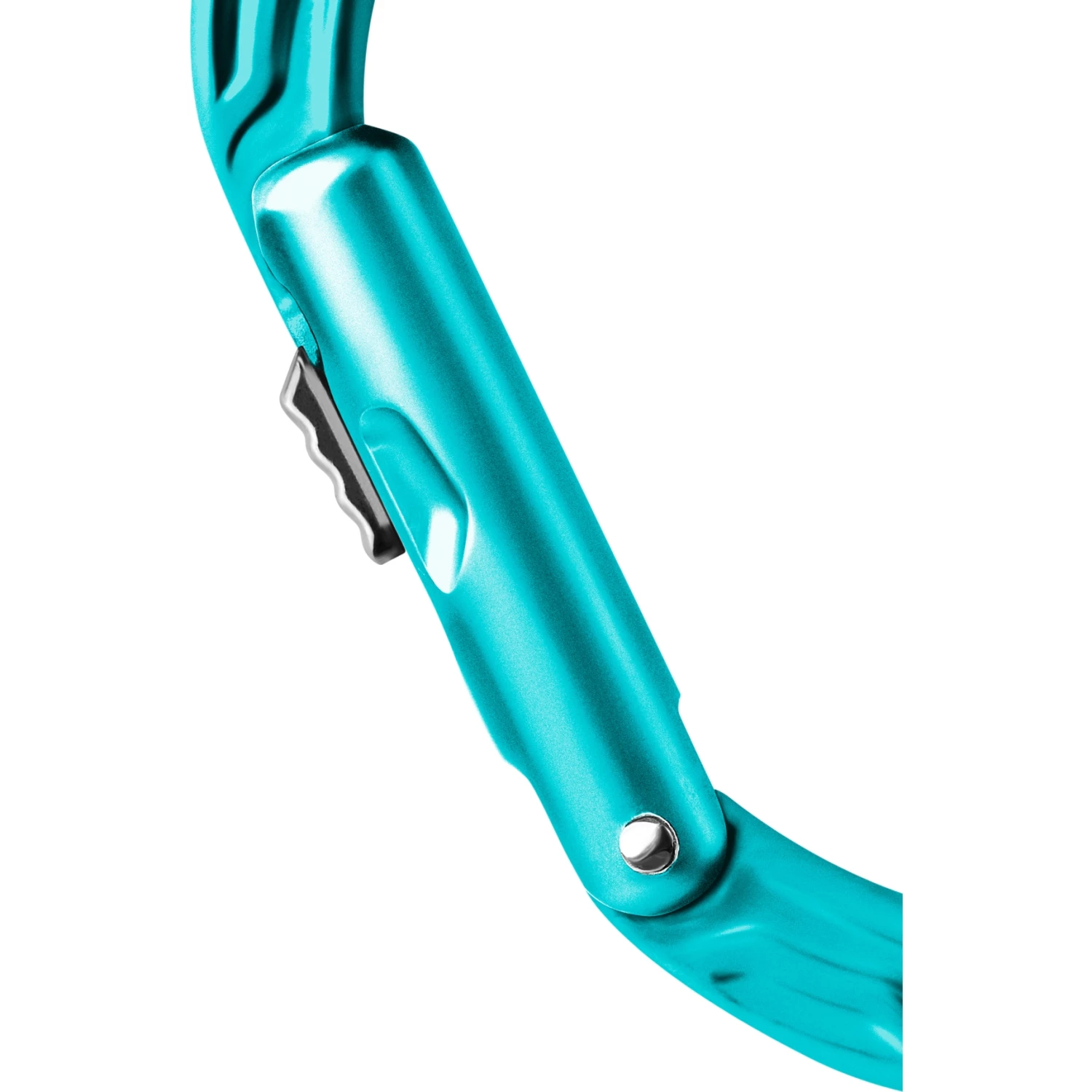 Edelrid Kiwi Slider Carabiner - Icemint - Afbeelding 2