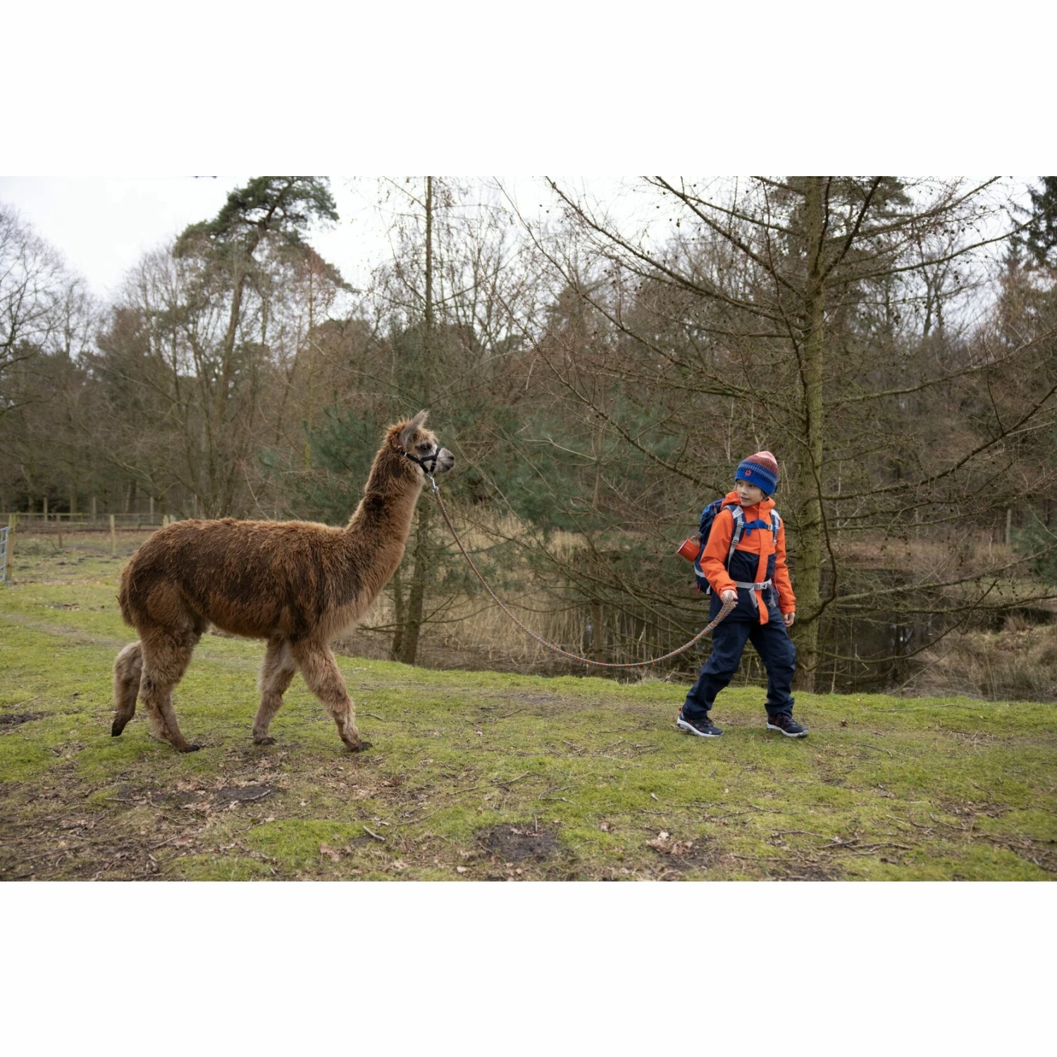 Jack Wolfskin Vojo Texapore Low Kinderen Wandelschoenen - Black / Burly Yellow - Afbeelding 7