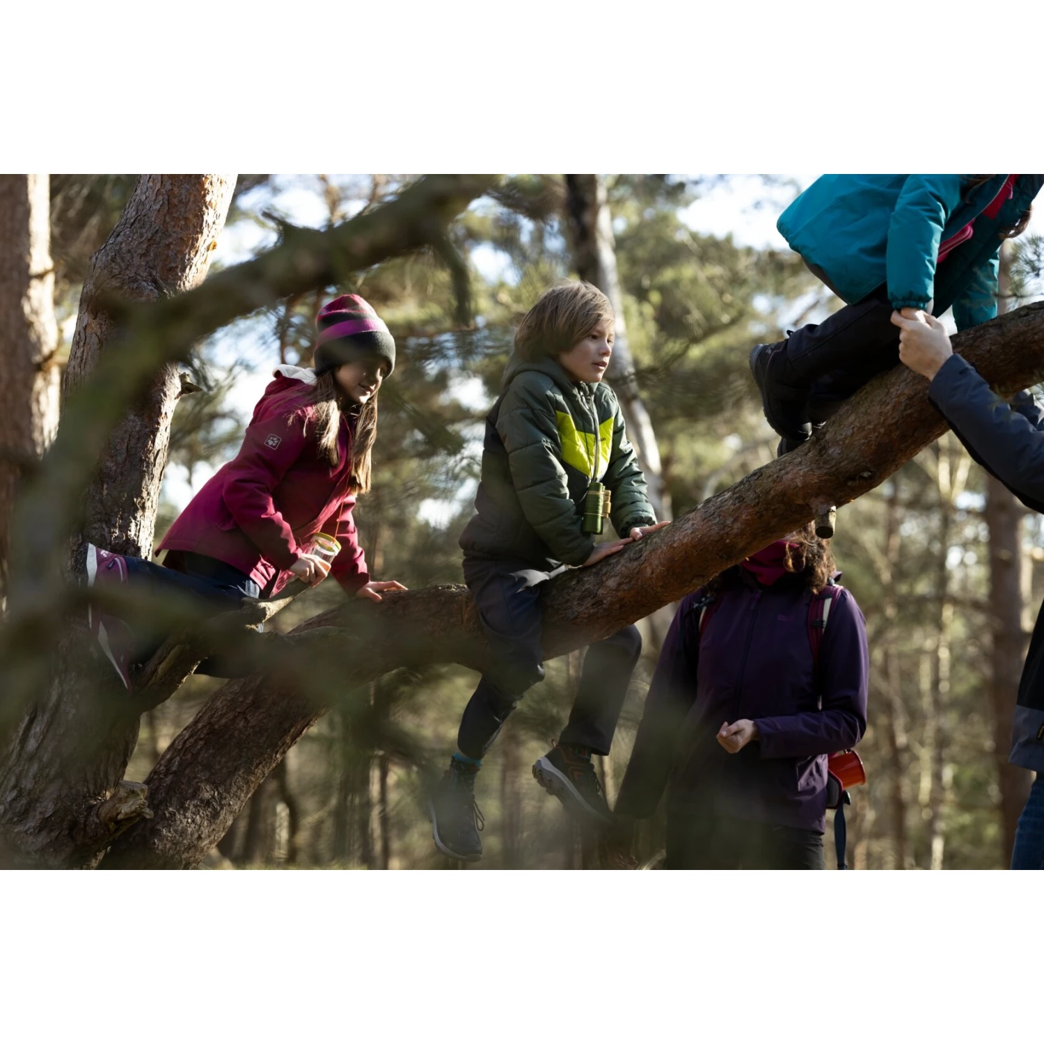 Jack Wolfskin Vojo Texapore Low Kinderen Wandelschoenen - Black / Burly Yellow - Afbeelding 10