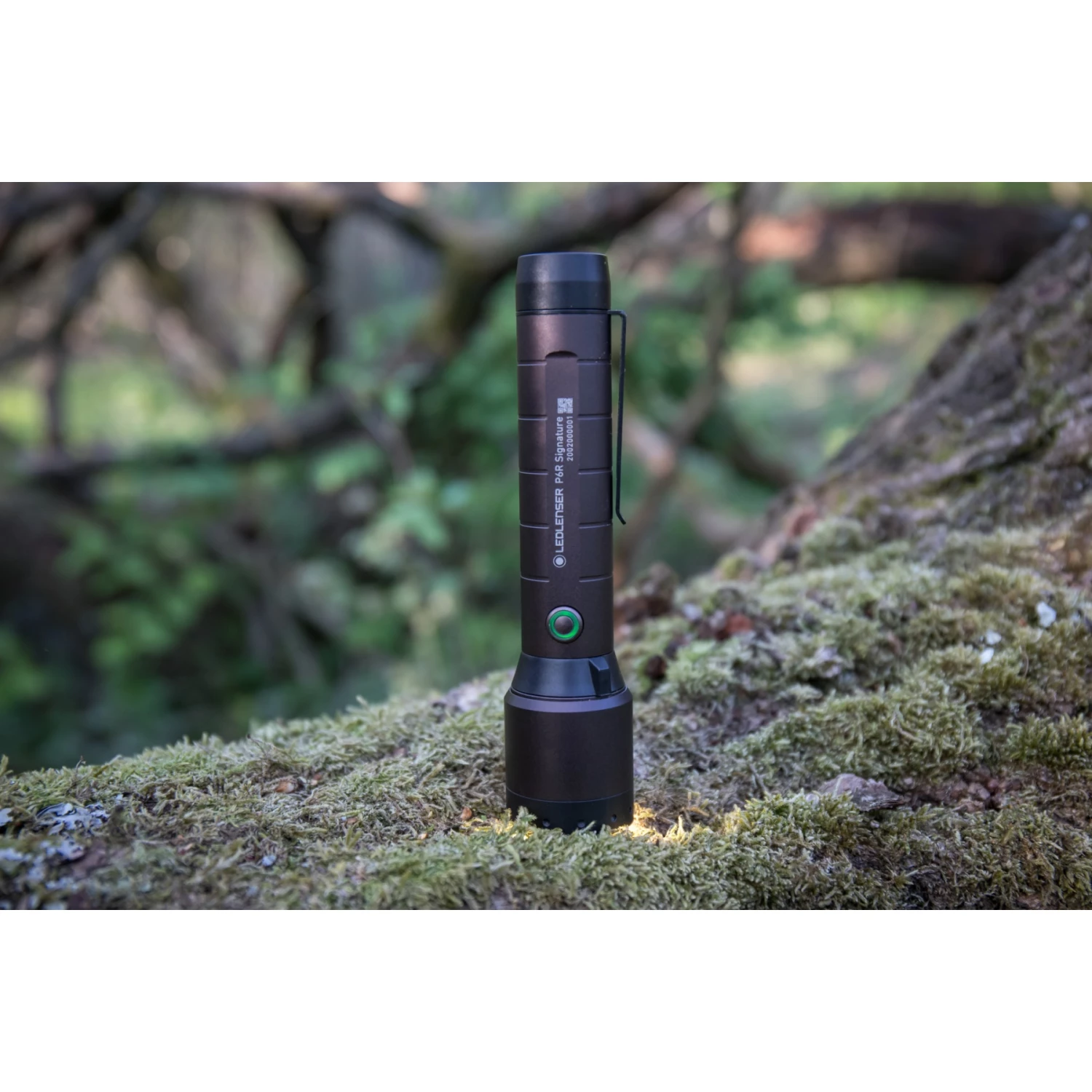 LEDLENSER P6R Signature Flashlight - Afbeelding 6